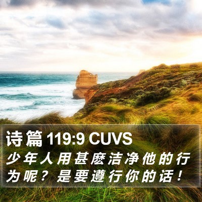 诗 篇 119:9 CUVS Bible Verse Image
