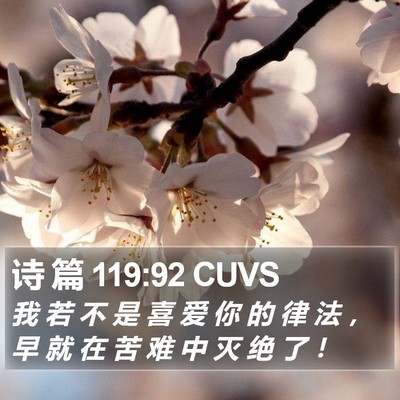 诗 篇 119:92 CUVS Bible Verse Image