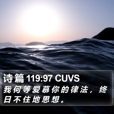 诗 篇 119:97 CUVS Bible Verse Image