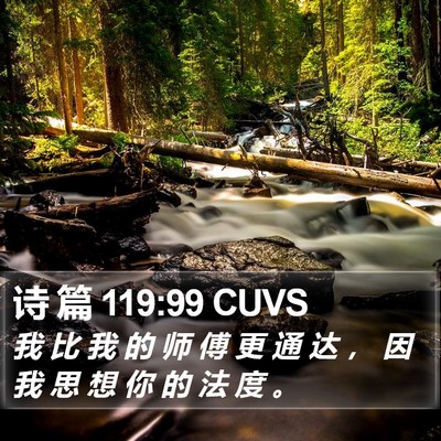 诗 篇 119:99 CUVS Bible Verse Image