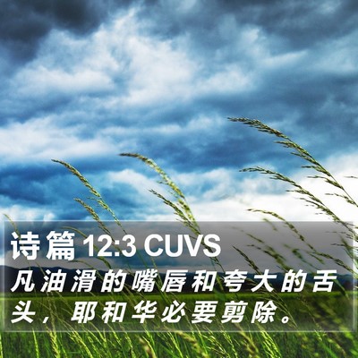 诗 篇 12:3 CUVS Bible Verse Image