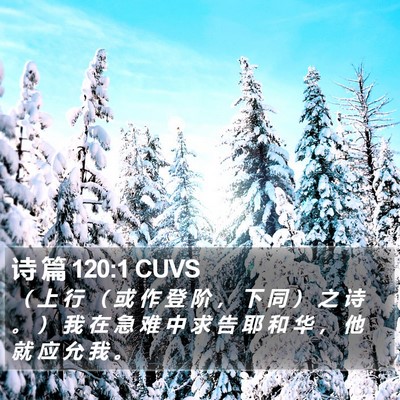 诗 篇 120:1 CUVS Bible Verse Image