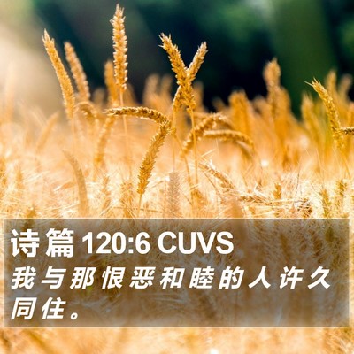 诗 篇 120:6 CUVS Bible Verse Image