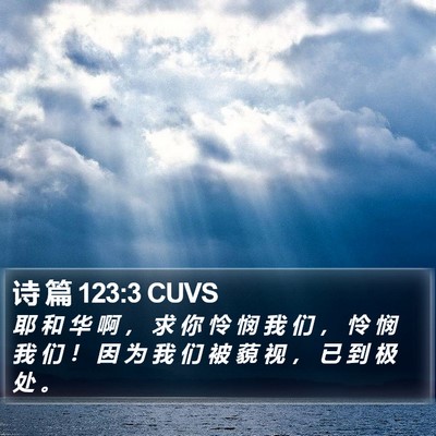 诗 篇 123:3 CUVS Bible Verse Image