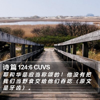诗 篇 124:6 CUVS Bible Verse Image