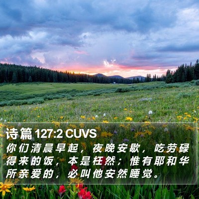 诗 篇 127:2 CUVS Bible Verse Image
