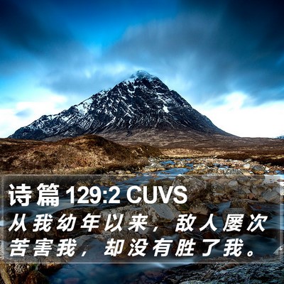 诗 篇 129:2 CUVS Bible Verse Image