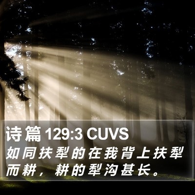 诗 篇 129:3 CUVS Bible Verse Image