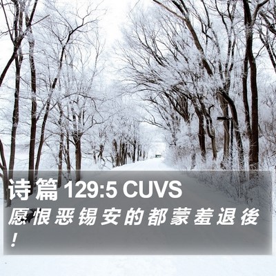诗 篇 129:5 CUVS Bible Verse Image