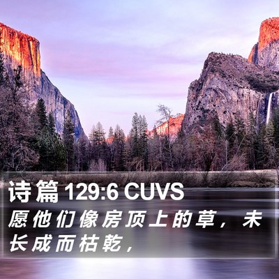 诗 篇 129:6 CUVS Bible Verse Image
