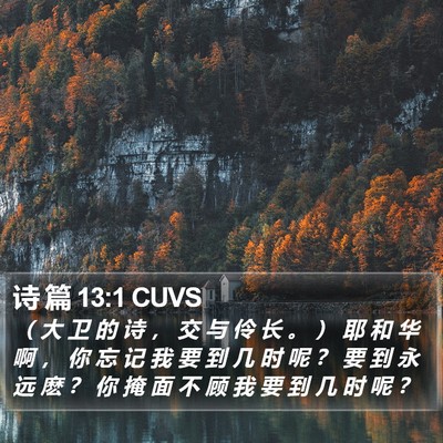 诗 篇 13:1 CUVS Bible Verse Image