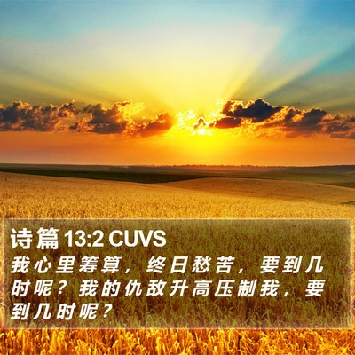 诗 篇 13:2 CUVS Bible Verse Image