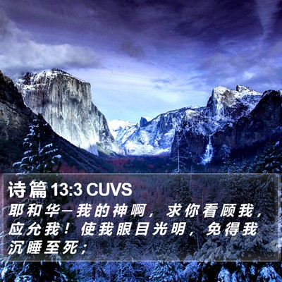 诗 篇 13:3 CUVS Bible Verse Image