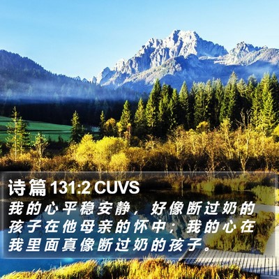 诗 篇 131:2 CUVS Bible Verse Image
