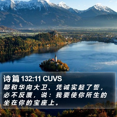 诗 篇 132:11 CUVS Bible Verse Image