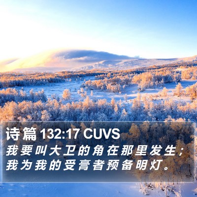 诗 篇 132:17 CUVS Bible Verse Image
