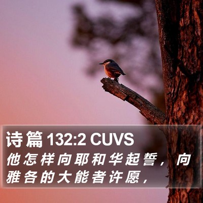 诗 篇 132:2 CUVS Bible Verse Image