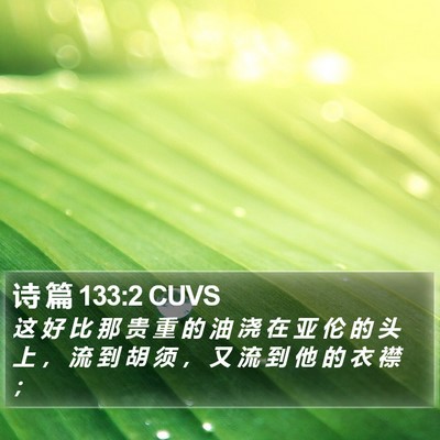 诗 篇 133:2 CUVS Bible Verse Image