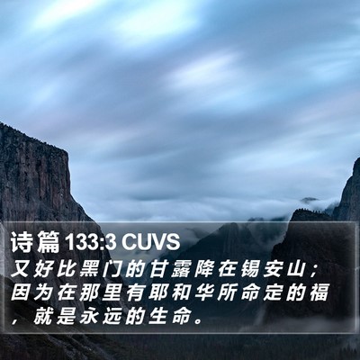 诗 篇 133:3 CUVS Bible Verse Image