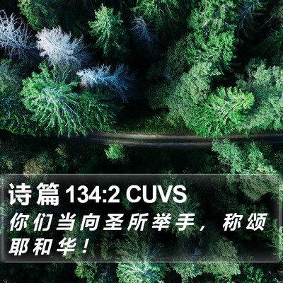 诗 篇 134:2 CUVS Bible Verse Image