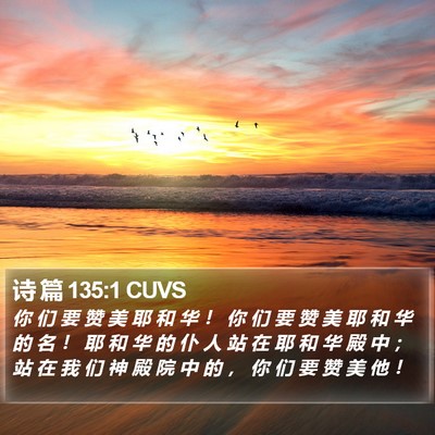 诗 篇 135:1 CUVS Bible Verse Image