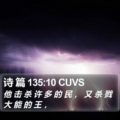 诗 篇 135:10 CUVS Bible Verse Image