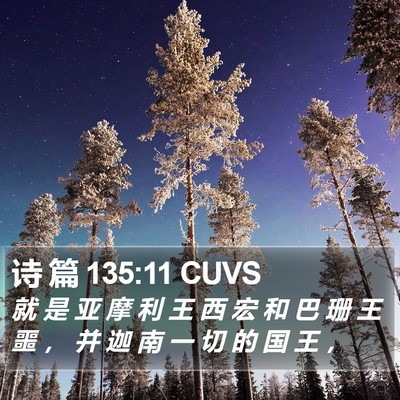 诗 篇 135:11 CUVS Bible Verse Image