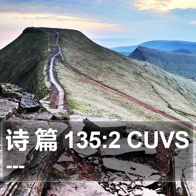 诗 篇 135:2 CUVS Bible Verse Image