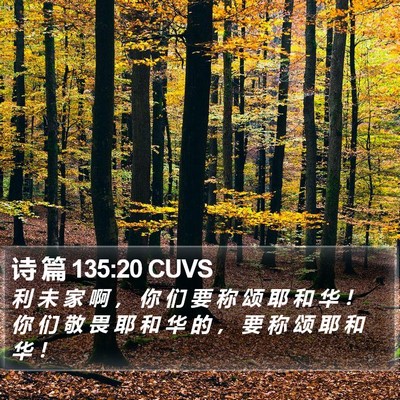 诗 篇 135:20 CUVS Bible Verse Image