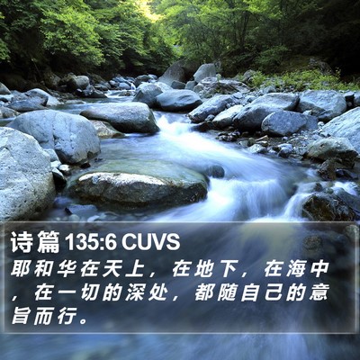 诗 篇 135:6 CUVS Bible Verse Image