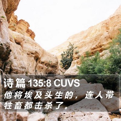 诗 篇 135:8 CUVS Bible Verse Image