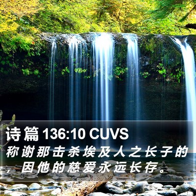诗 篇 136:10 CUVS Bible Verse Image