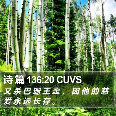 诗 篇 136:20 CUVS Bible Verse Image