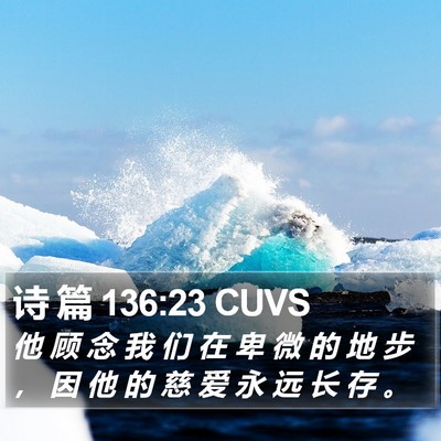 诗 篇 136:23 CUVS Bible Verse Image