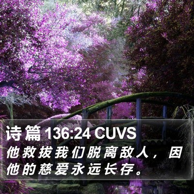 诗 篇 136:24 CUVS Bible Verse Image
