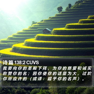 诗 篇 138:2 CUVS Bible Verse Image