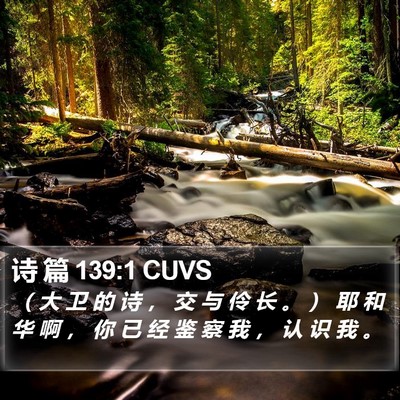 诗 篇 139:1 CUVS Bible Verse Image