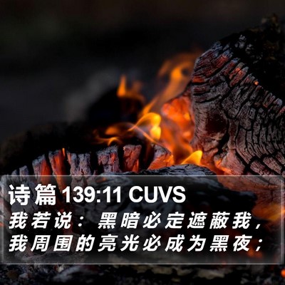 诗 篇 139:11 CUVS Bible Verse Image