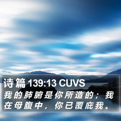 诗 篇 139:13 CUVS Bible Verse Image