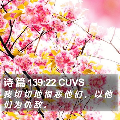诗 篇 139:22 CUVS Bible Verse Image
