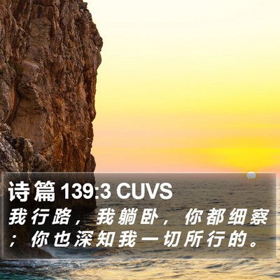 诗 篇 139:3 CUVS Bible Verse Image