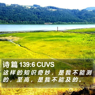 诗 篇 139:6 CUVS Bible Verse Image