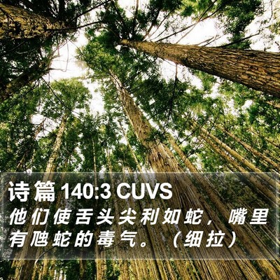 诗 篇 140:3 CUVS Bible Verse Image
