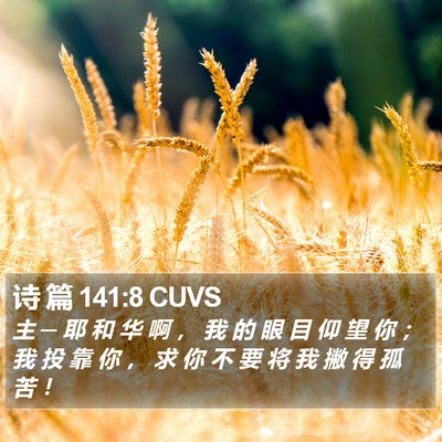 诗 篇 141:8 CUVS Bible Verse Image