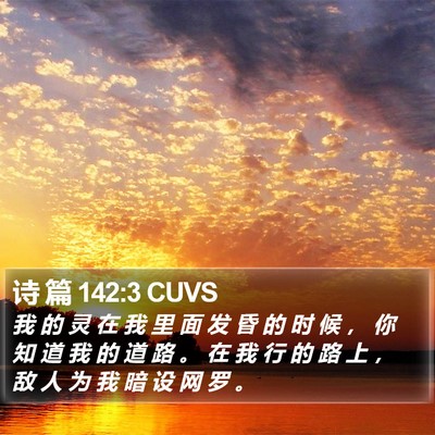 诗 篇 142:3 CUVS Bible Verse Image