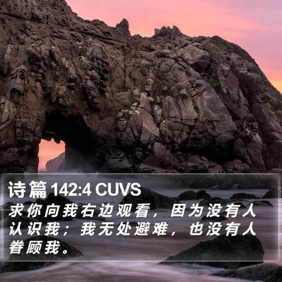 诗 篇 142:4 CUVS Bible Verse Image