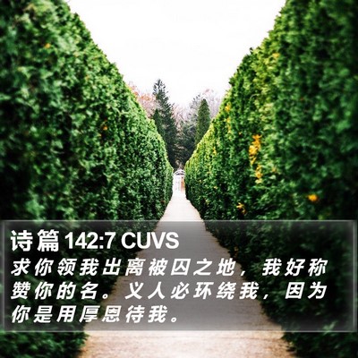 诗 篇 142:7 CUVS Bible Verse Image