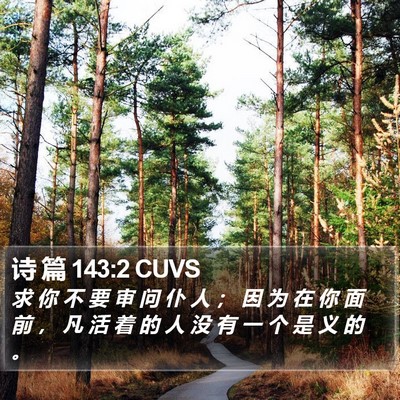 诗 篇 143:2 CUVS Bible Verse Image