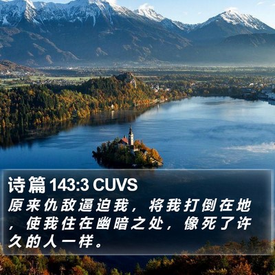 诗 篇 143:3 CUVS Bible Verse Image