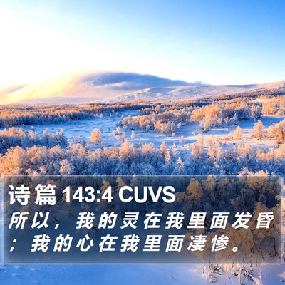 诗 篇 143:4 CUVS Bible Verse Image